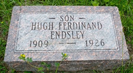 ENDSLEY, HUGH FERDINAND - Ringgold County, Iowa | HUGH FERDINAND ENDSLEY 