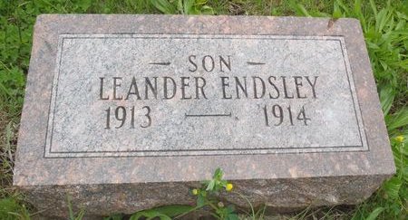 ENDSLEY, LEANDER - Ringgold County, Iowa | LEANDER ENDSLEY 