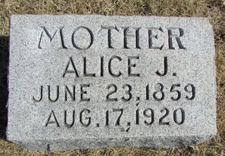 PALMER GALLAUGHER, ALICE JANE - Ringgold County, Iowa | ALICE JANE PALMER GALLAUGHER 