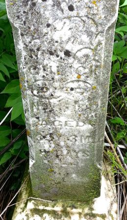 GULICK, LETHENA J. - Ringgold County, Iowa | LETHENA J. GULICK 