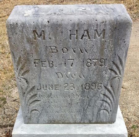 HAM, LAURA M. - Ringgold County, Iowa | LAURA M. HAM 