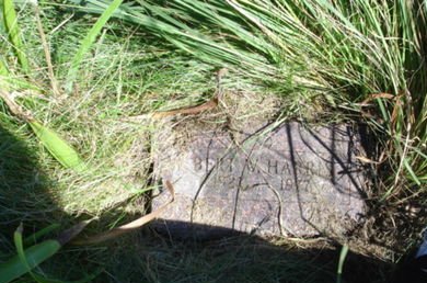 HARRIS, BERT W. - Ringgold County, Iowa | BERT W. HARRIS 