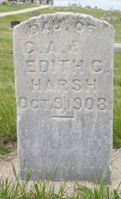 HARSH, DAUGHTER - Ringgold County, Iowa | DAUGHTER HARSH 