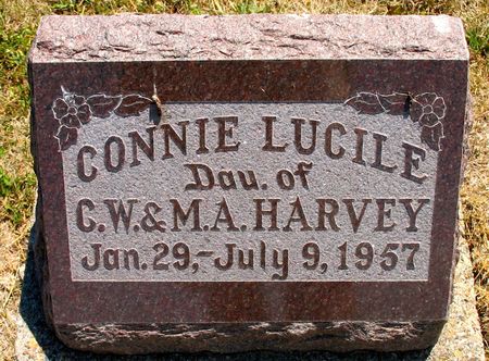 HARVEY, CONNIE LUCILE - Ringgold County, Iowa | CONNIE LUCILE HARVEY 