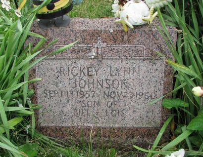 JOHNSON, RICKY LYNN - Ringgold County, Iowa | RICKY LYNN JOHNSON 