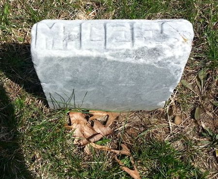 LEES, M. - Ringgold County, Iowa | M. LEES 