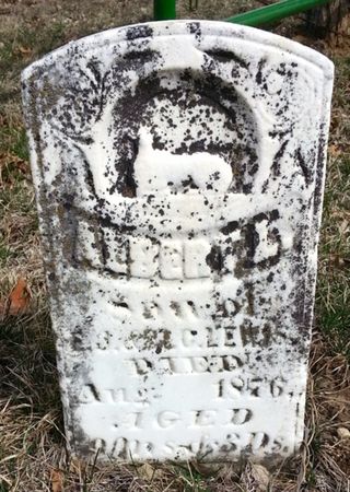 LEWIS, ALBERT L. - Ringgold County, Iowa | ALBERT L. LEWIS 