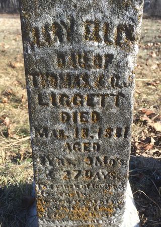 LIGGETT, MARY ELLEN - Ringgold County, Iowa | MARY ELLEN LIGGETT 