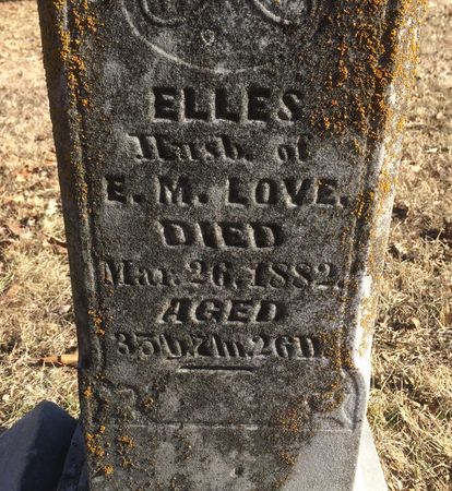 LOVE, ELLES - Ringgold County, Iowa | ELLES LOVE 