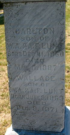 LUNT, WALLACE - Ringgold County, Iowa | WALLACE LUNT 