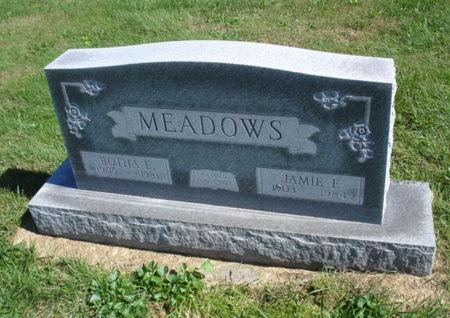 MEADOWS, JAMIE FRANCIS - Ringgold County, Iowa | JAMIE FRANCIS MEADOWS 