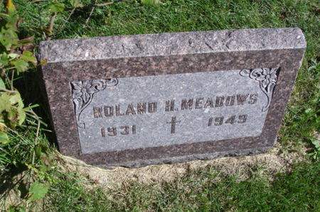 MEADOWS, ROLAND H. - Ringgold County, Iowa | ROLAND H. MEADOWS 