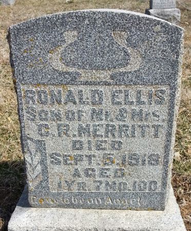 MERRITT, RONALD ELLIS - Ringgold County, Iowa | RONALD ELLIS MERRITT 