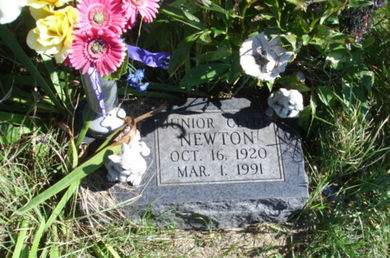 NEWTON, JUNIOR - Ringgold County, Iowa | JUNIOR NEWTON 