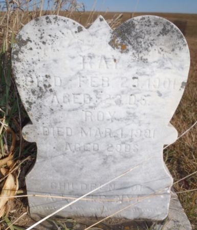 NYE, ROY - Ringgold County, Iowa | ROY NYE 