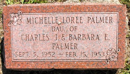 PALMER, MICHELLE LOREE - Ringgold County, Iowa | MICHELLE LOREE PALMER 