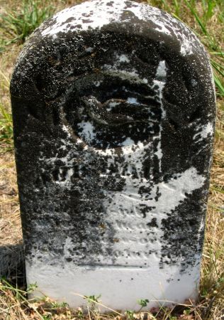 PRICE, OUR BABE - Ringgold County, Iowa | OUR BABE PRICE 