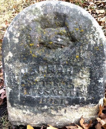 SALYER, HANNAH C. - Ringgold County, Iowa | HANNAH C. SALYER 