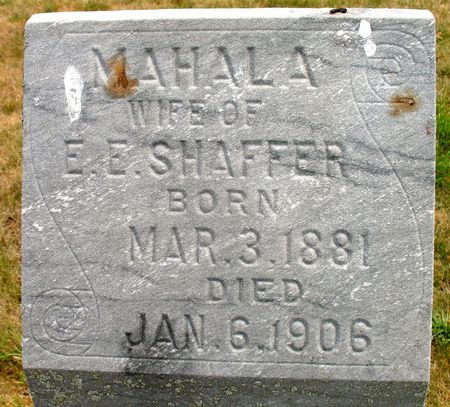 SHAFFER, MAHALA (SMITH) - Ringgold County, Iowa | MAHALA (SMITH) SHAFFER 