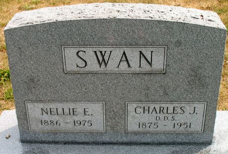 SWAN, NELLIE E. - Ringgold County, Iowa | NELLIE E. SWAN 