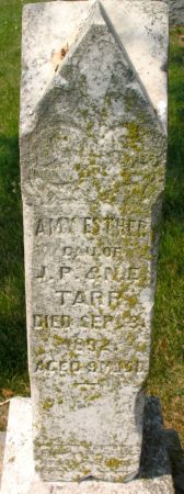 TARR, AMY ESTHER - Ringgold County, Iowa | AMY ESTHER TARR 