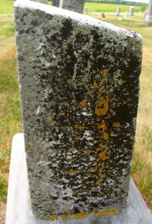 TAYLOR, INFANT DAUGHTER - Ringgold County, Iowa | INFANT DAUGHTER TAYLOR 