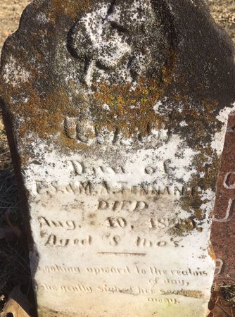 TENNANT, ISSA J. - Ringgold County, Iowa | ISSA J. TENNANT 