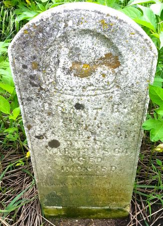 THOMPSON, GRANT B. - Ringgold County, Iowa | GRANT B. THOMPSON 