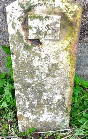 THOMPSON, JANE (DODSON) - Ringgold County, Iowa | JANE (DODSON) THOMPSON 