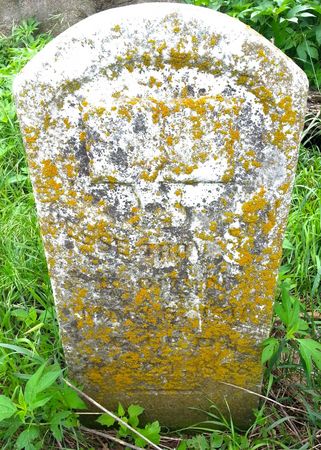 THOMPSON, JESSE - Ringgold County, Iowa | JESSE THOMPSON 