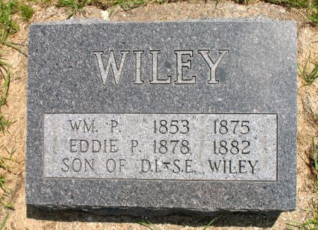 WILEY, WILLIAM P. - Ringgold County, Iowa | WILLIAM P. WILEY 