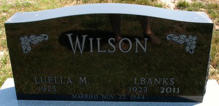 WILSON, L. BANKS - Ringgold County, Iowa | L. BANKS WILSON 