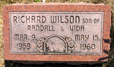 WILSON, RICHARD - Ringgold County, Iowa | RICHARD WILSON 