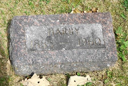 TRAVER, HARRY ELLSWORTH - Sac County, Iowa | HARRY ELLSWORTH TRAVER 