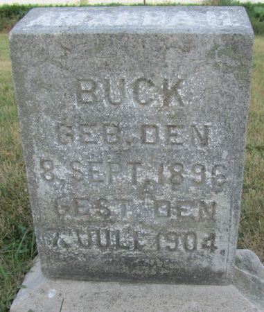 BUCK, AMANDA H. - Scott County, Iowa | AMANDA H. BUCK 