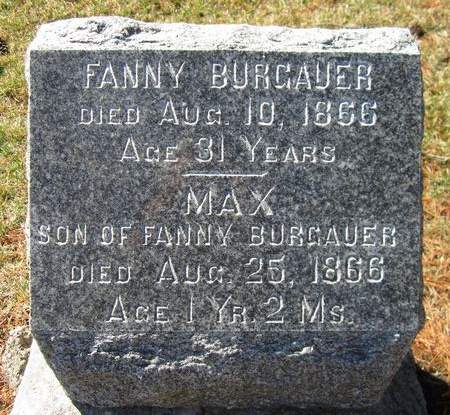 BURGAUER, MAX - Scott County, Iowa | MAX BURGAUER 