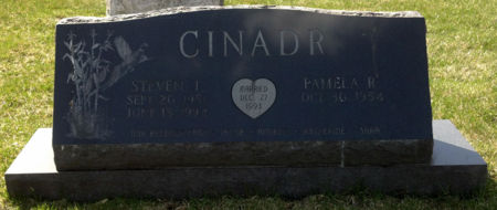 CINADR, STEVEN J - Scott County, Iowa | STEVEN J CINADR 