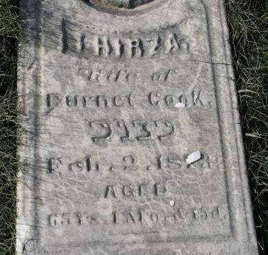 COOK, THIRZA - Scott County, Iowa | THIRZA COOK 