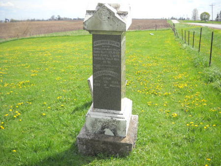 DULIN, ALEXANDER  H - Scott County, Iowa | ALEXANDER  H DULIN 