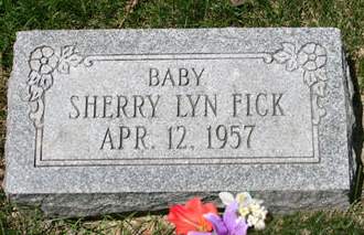 FICK, SHERRY LYN - Scott County, Iowa | SHERRY LYN FICK 