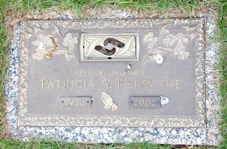 FORSYTHE, PATRICIA A. - Scott County, Iowa | PATRICIA A. FORSYTHE 