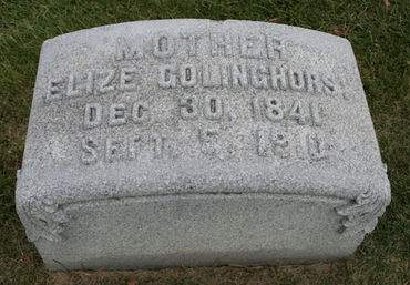 GOLINGHORST, ELIZE - Scott County, Iowa | ELIZE GOLINGHORST 