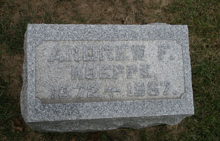 KOEPPE, ANDREW F. - Scott County, Iowa | ANDREW F. KOEPPE 