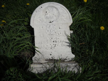 LEAMER, SUSAN - Scott County, Iowa | SUSAN LEAMER 