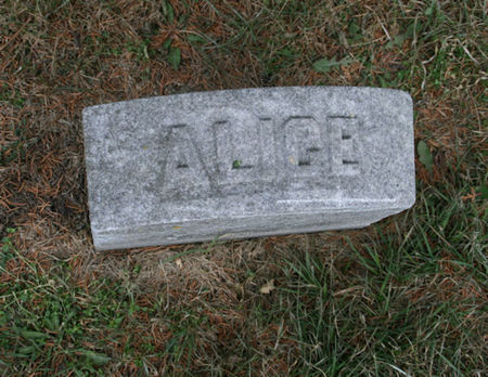 LENDT, ALICE - Scott County, Iowa | ALICE LENDT 