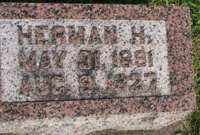 LEVIEN, HERMAN H. - Scott County, Iowa | HERMAN H. LEVIEN 