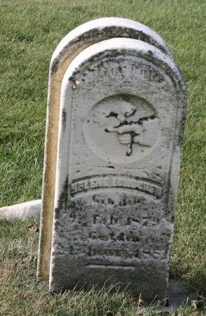 LUNSCHEN, HELENE - Scott County, Iowa | HELENE LUNSCHEN 