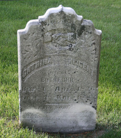 MEINERT, CATRINA - Scott County, Iowa | CATRINA MEINERT 