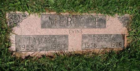 MERICLE, TAMARA - Scott County, Iowa | TAMARA MERICLE 