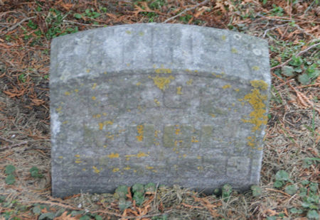 MUHL, PAUL - Scott County, Iowa | PAUL MUHL 